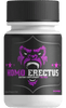 HomoErectus