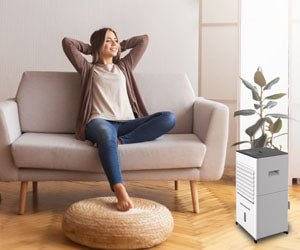 Starlyf Cooler & Heater 5 in 1 a 149,99€