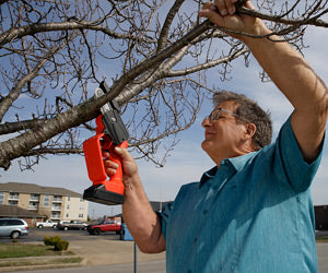 Minichain Saw a 386 PLN