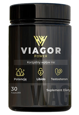 Viagor Power  low price